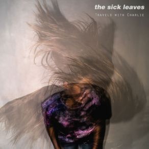 Download track Six Inch Valley (A. K. A. Cancer) The Sick-Leaves