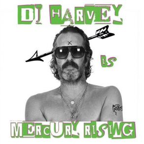 Download track Arabian Ride DJ Harvey