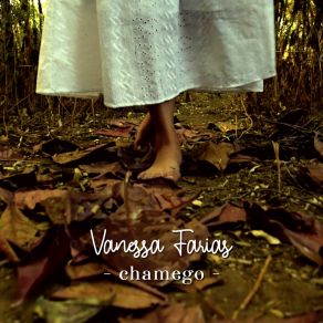 Download track Chamego Vanessa Farias