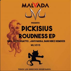 Download track Roudness (Original Mix) Pickisius