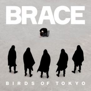 Download track Brace Birds Of Tokyo