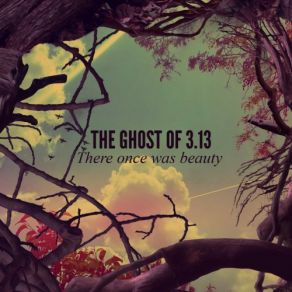 Download track Self-Destructive Pattern The Ghost Of 3. 13