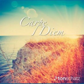 Download track Carpe Diem (Maxi Version) Carpe Diem, Tonschatz