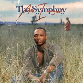 Download track Dream Interlude TheSymphny