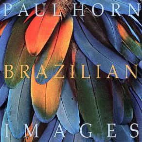 Download track Parque Do Flamengo (Flamingo Park) Paul Horn