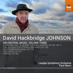 Download track Valse Mérovingienne, Op. 77a Liepaja Symphony Orchestra