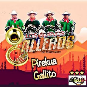 Download track Chinita Los Nuevos Galleros De Nurío Mich