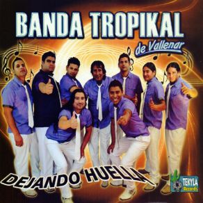 Download track El Cienpies Banda Tropikal De Vallenar