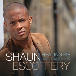 Download track Healing Me (Nigel Lowis 12inch Mix) Shaun Escoffery