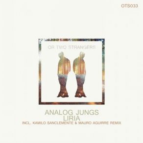 Download track Liria (Original Mix) Analog Jungs