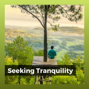 Download track Disappearing Tranquility Spree