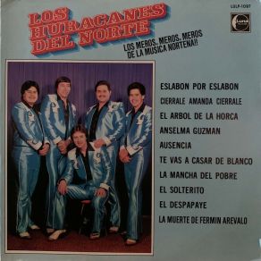 Download track Los Desengaños LOS HURACANES DEL NORTE