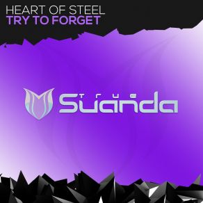 Download track Try To Forget (Original Mix) Heart Of Steel