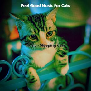 Download track Comforting (Kittens) Feel Good Music For Cats