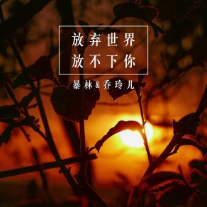 Download track 无缘的情人 Lin Bao