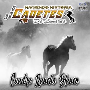 Download track La Marina (Cuadra Rancho Blanco) Haciendo Historia Los Nuevos Cadetes De Linares