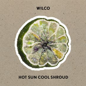 Download track Ice Cream Wilco