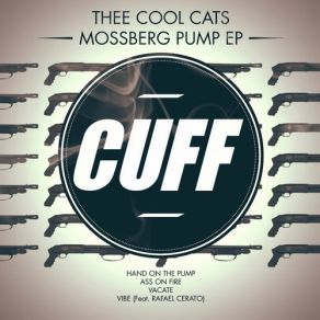 Download track Hand On The Pump Thee Cool Cats