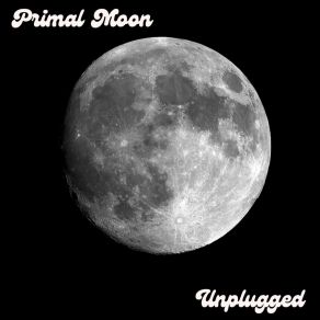 Download track Not The One (Acoustic Version) Primal Moon