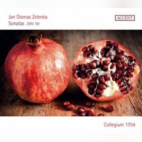 Download track Sonata In B-Flat Major, ZWV 181 No. 3 IV. Allegro-Tempo Giusto Collegium 1704