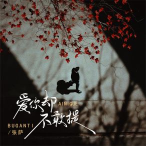 Download track 爱你却不敢提 张萨