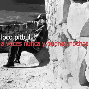 Download track Reina Solo Aquí LOCO PITBULL