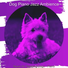 Download track Mysterious Separation Anxiety Dog Jazz Ambience