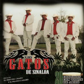 Download track Corrido Del Chino Los Gatos De Sinaloa