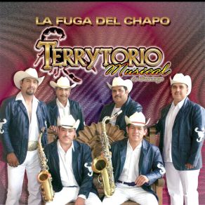 Download track Si No Me Quieres Déjame Terrytorio Musical De Durango