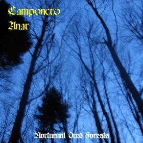 Download track The Ancient Kingdom Of Forests Anar