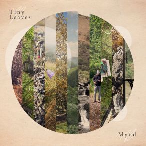 Download track Song Of The Trees - CMV 2 Tiny Leaves