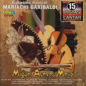 Download track No Volveré (Instrumental) Mariachi Garibaldi