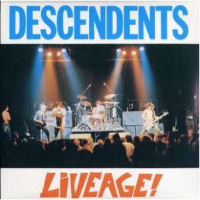 Download track Clean Sheets Descendents