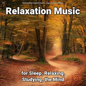 Download track Curing Ambient Sounds Relaxing Spa Music