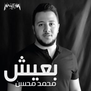 Download track Mahawtany Mohamed Mohsen