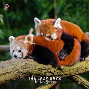 Download track Lazy Days Pt. 6 The Lazy Hour