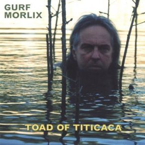 Download track Wild Things Gurf Morlix