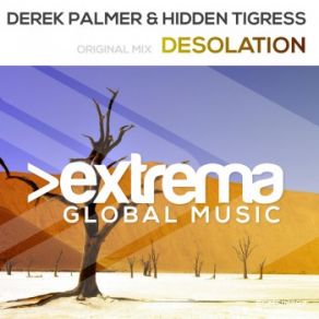 Download track Desolation (Original Mix) Derek Palmer, Hidden Tigress