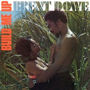 Download track A Little Bit Of Love Brent Dowe