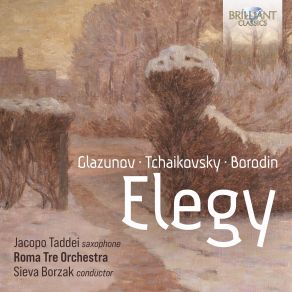 Download track Elegy From String Serenade In C Major, Op. 48 Roma Tre Orchestra, Jacopo Taddei, Sieva Borzak