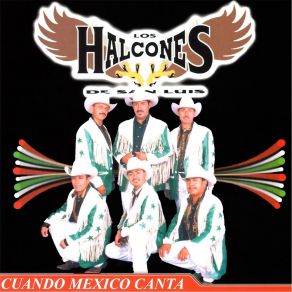 Download track Adicto Soy De Tu Amor Los Halcones De San Luis