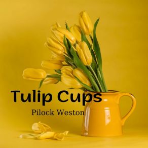 Download track The Shopper Pilock Weston