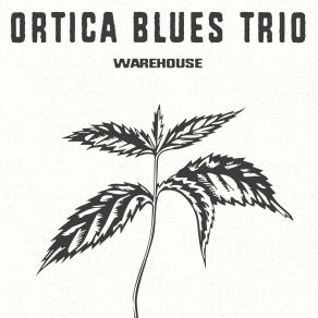 Download track Outside Woman Blues Ortica Blues Trio