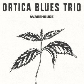 Download track Smokestack Lightning Ortica Blues Trio