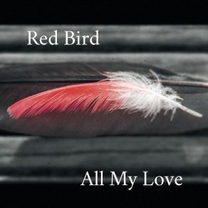Download track I Feel The Same Red Bird