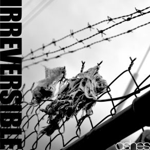 Download track Prime Irreversible