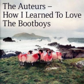 Download track How I Learned To Love The Bootboys The Auteurs