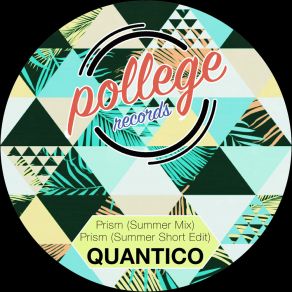 Download track Prism (Summer Mix) Quantico