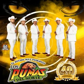 Download track Tequila Venado Los Pumas Del NorteLos Ávila