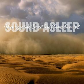 Download track Deep Egyptian Desert Sand Storm Sounds, Pt. 19 Elijah Wagner